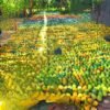 EGYPTIAN MANGO - Image 4