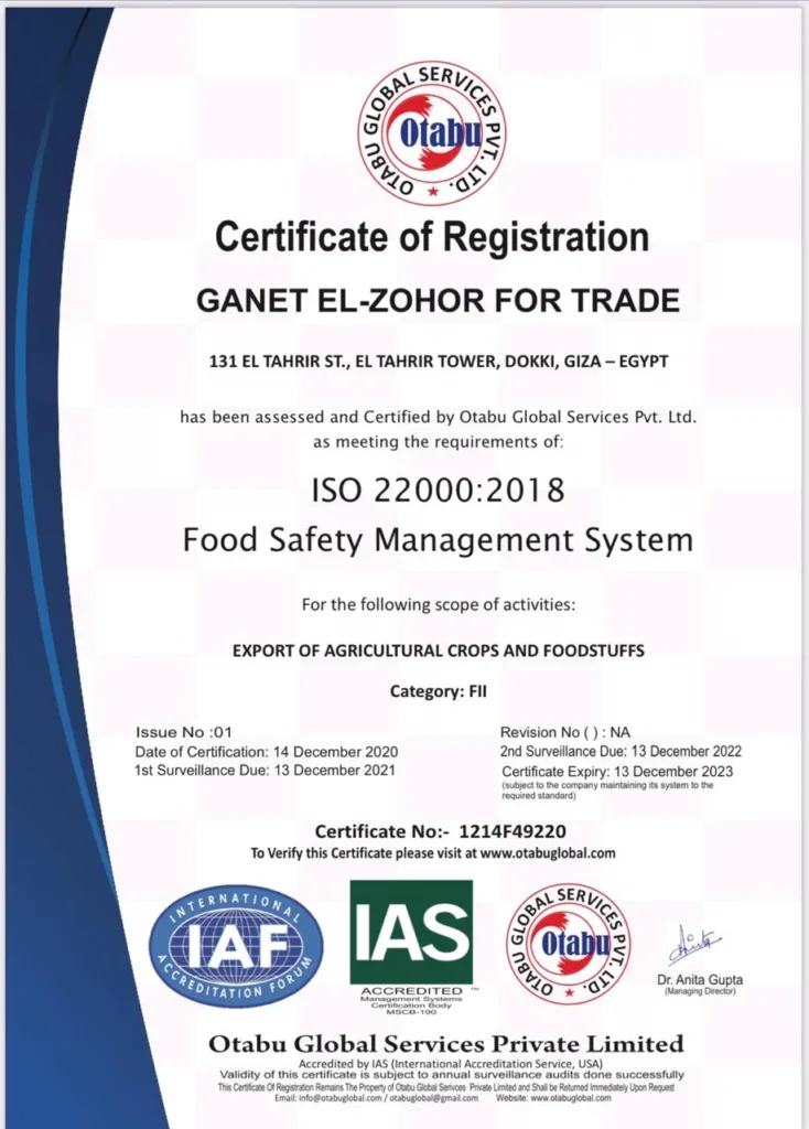 81bda098 fbf9 4a21 82e3 e688edc9f7bc 734x1024