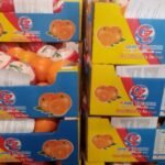 WhatsApp Image 2024-08-19 at 10.17.06 PM (1)