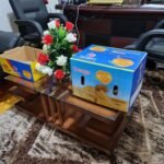 WhatsApp Image 2024-08-19 at 10.17.06 PM (2)