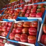 WhatsApp Image 2024-08-19 at 10.17.06 PM (3)