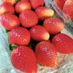 WhatsApp Image 2024-08-19 at 10.17.07 PM (1)