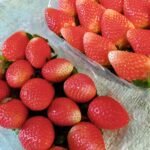 WhatsApp Image 2024-08-19 at 10.17.07 PM