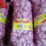 WhatsApp Image 2024-08-19 at 10.17.07 PM (2)