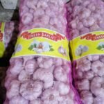 WhatsApp Image 2024-08-19 at 10.17.08 PM (1)