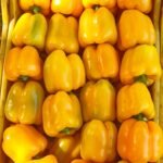 WhatsApp Image 2024-08-19 at 10.17.08 PM