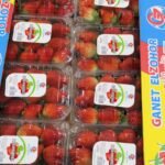 WhatsApp Image 2024-08-19 at 10.17.09 PM (2)