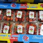 WhatsApp Image 2024-08-19 at 10.17.09 PM (4)