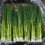 WhatsApp Image 2024-08-19 at 10.17.10 PM (1)