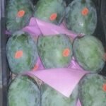 WhatsApp Image 2024-08-19 at 10.17.11 PM (2)