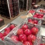 WhatsApp Image 2024 08 19 at 10 17 11 PM 4 150x150