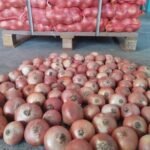 WhatsApp Image 2024 08 19 at 10 17 12 PM 4 150x150