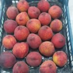 WhatsApp Image 2024 08 19 at 10 17 13 PM 150x150