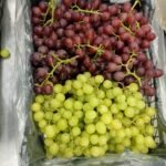 WhatsApp Image 2024 08 19 at 10 17 13 PM 4 150x150