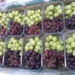 WhatsApp Image 2024 08 19 at 10 17 14 PM 4 150x150