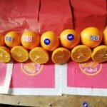 WhatsApp Image 2024 08 19 at 10 17 15 PM 150x150