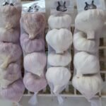 WhatsApp Image 2024 08 19 at 10 17 15 PM 2 150x150