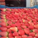 WhatsApp Image 2024 08 19 at 10 25 57 PM 2 150x150