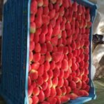 WhatsApp Image 2024 08 19 at 10 25 57 PM 3 150x150