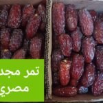 WhatsApp Image 2024 08 19 at 10 25 59 PM 1 150x150