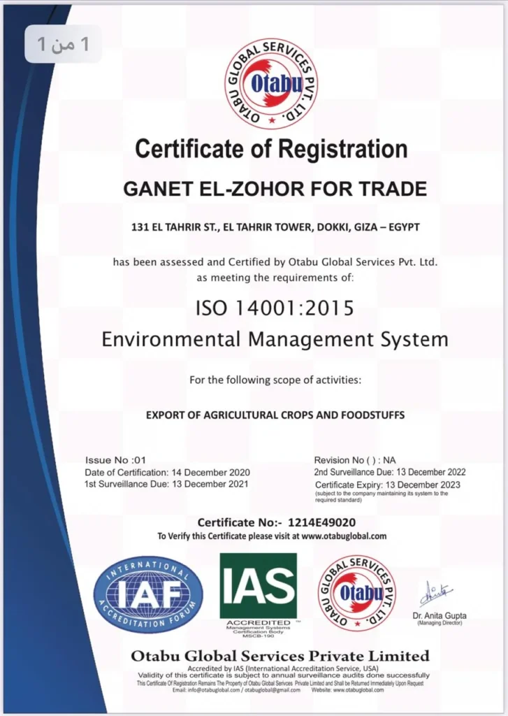 B19f8575 2550 4396 b832 89596baf23f2 727x1024